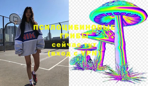 ALPHA-PVP Алексин